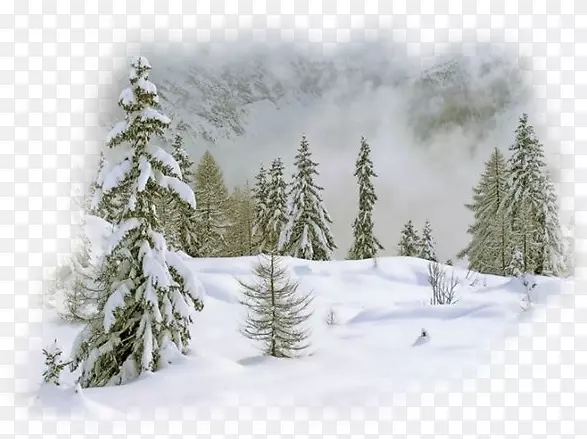 ������������-����-������