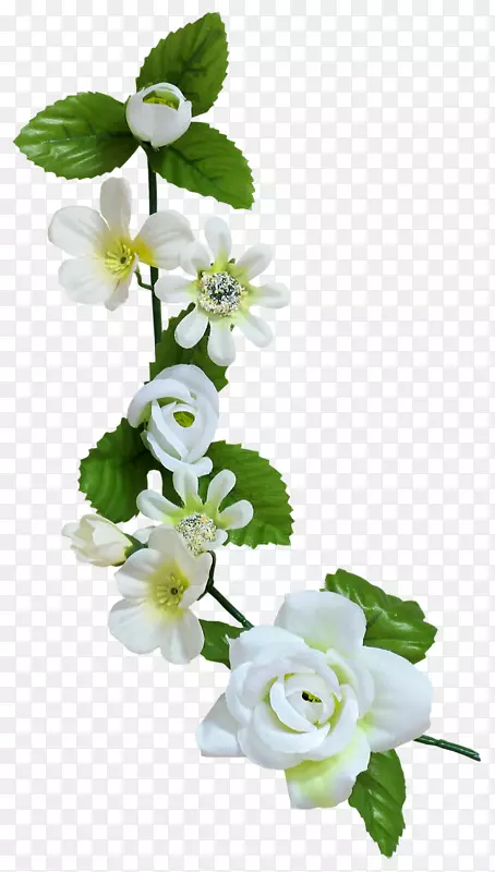 ��������л������㻨-������