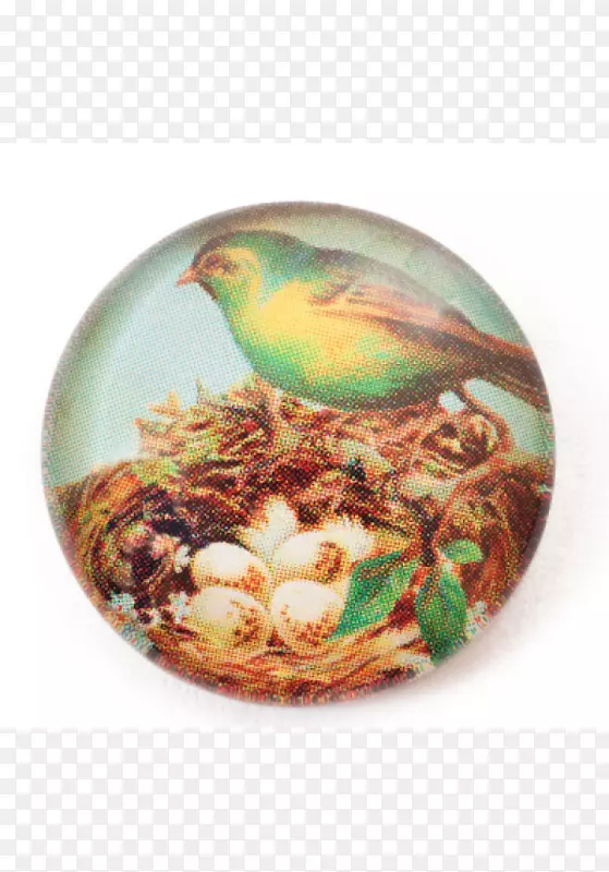 ������ʯ����-����-������