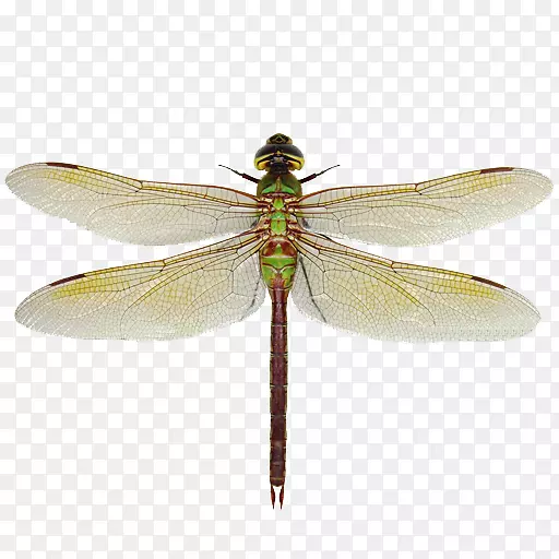 ������ͬ��ʺͷ��������-����-������