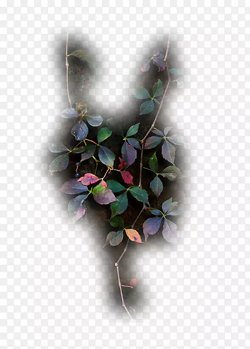 ��������л����컨-������