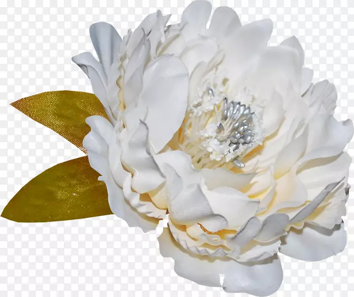 ��װPostScript������-������