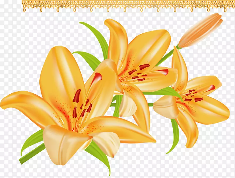 �ٺϲ廨-������