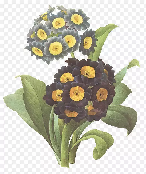 ��������л�������ͨ���տ�-������