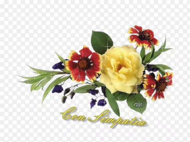 ���ͻ��ܻ�԰õ�������-������