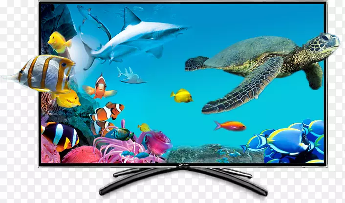 ����lcd������ӷ�������ܵ��ӻ�-������