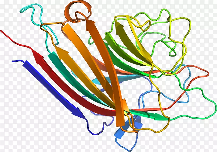 �ߵ�����������-������