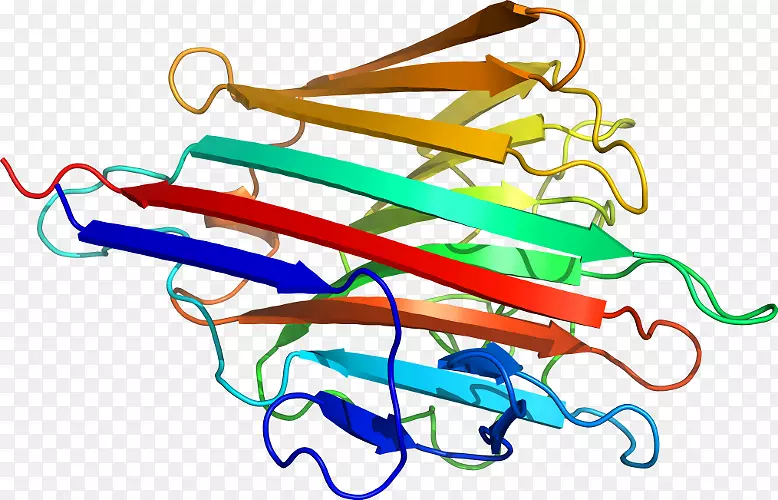 �ߵ������-��-������