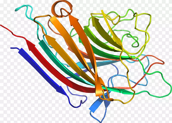 �ߵ������������-������