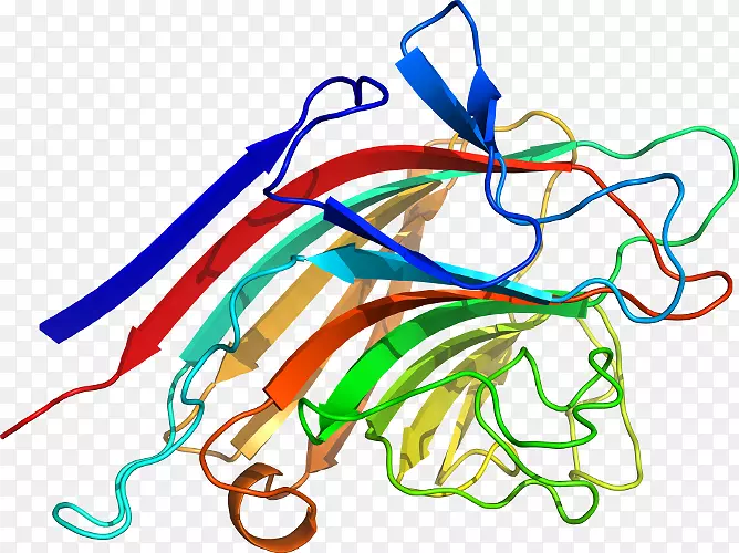 �ߵ������������-������