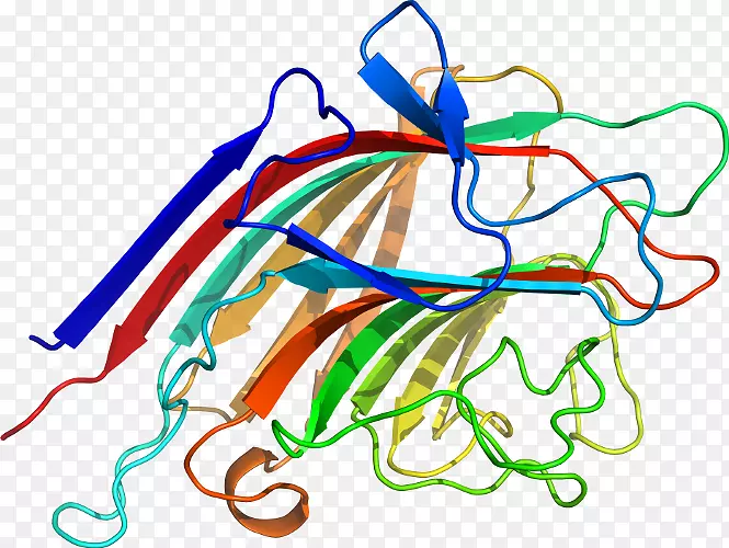 ����������ƽ����Ƽ�������-������