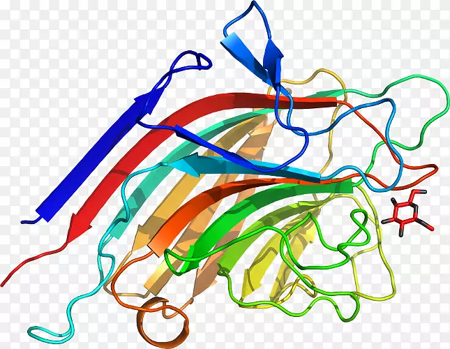 �ߵ������������-������