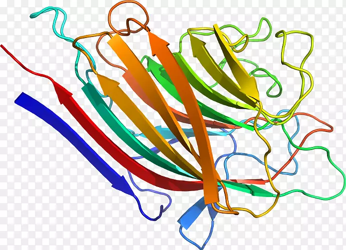 �ߵ������������-������