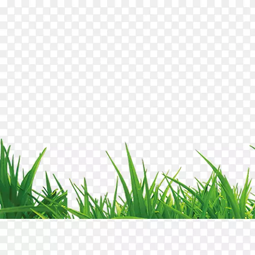 ��ɫ��ԴС���ֲ�-������