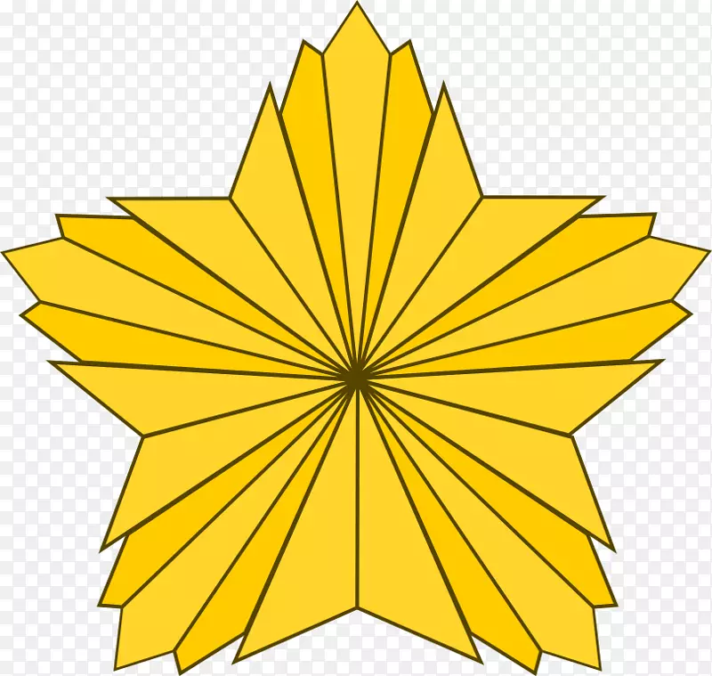 �߶Գ�Ҷ��ͼ��-��-������