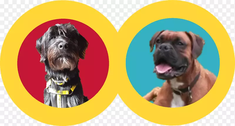 Ȯ��ȭ����Ȯ�����ӽ�Ȯ-С��-������