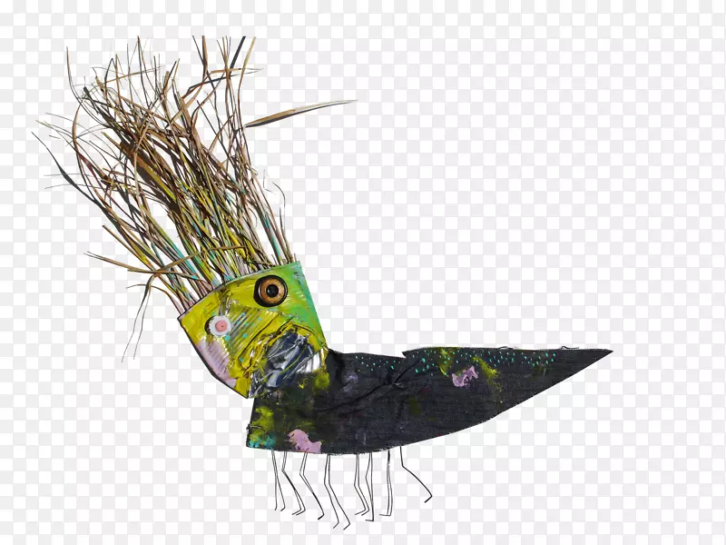 ���β��-������