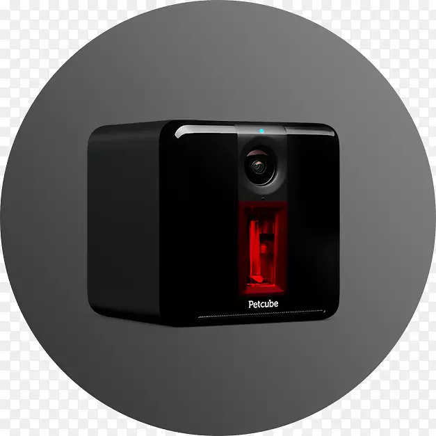 ���Ӷ�ý�����-������