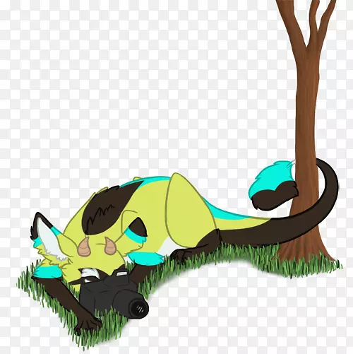 ���ж��������-����-������