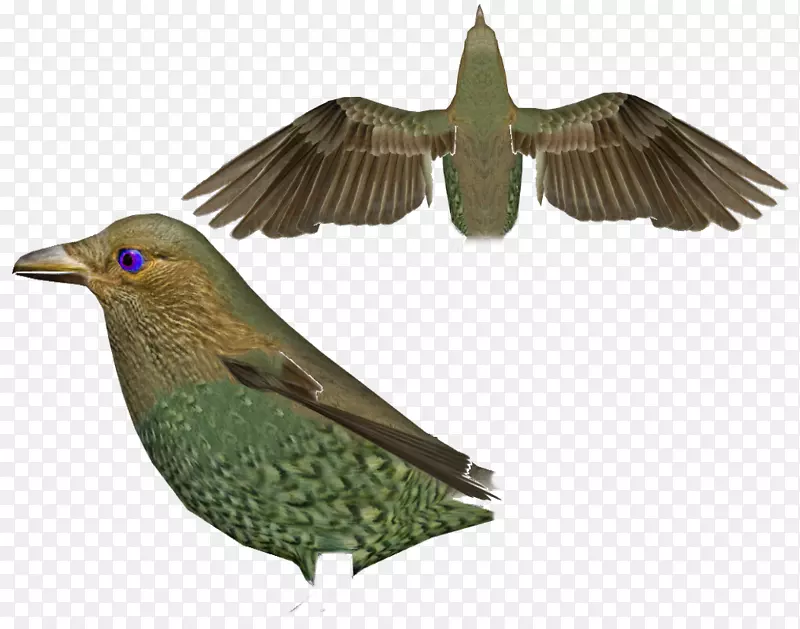 ���-������