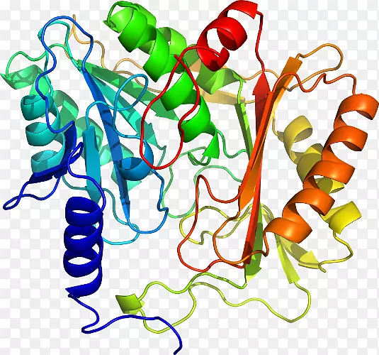 �߲˾��߼�����-�߲�-������