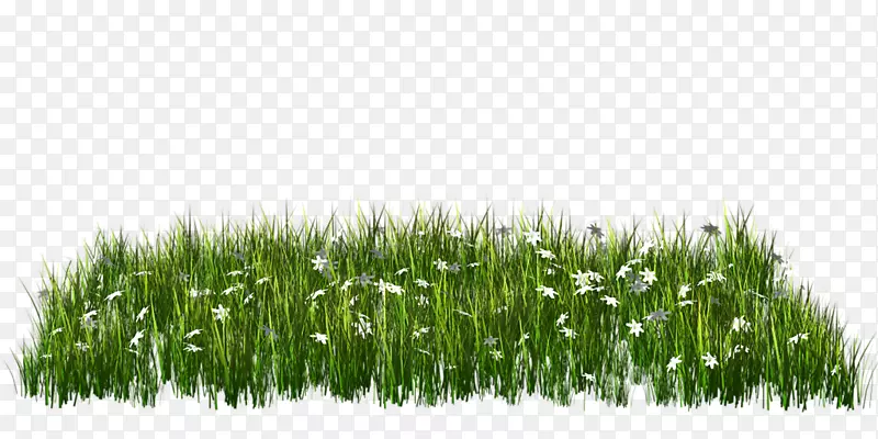 ���ؼ�����-�̲�-������