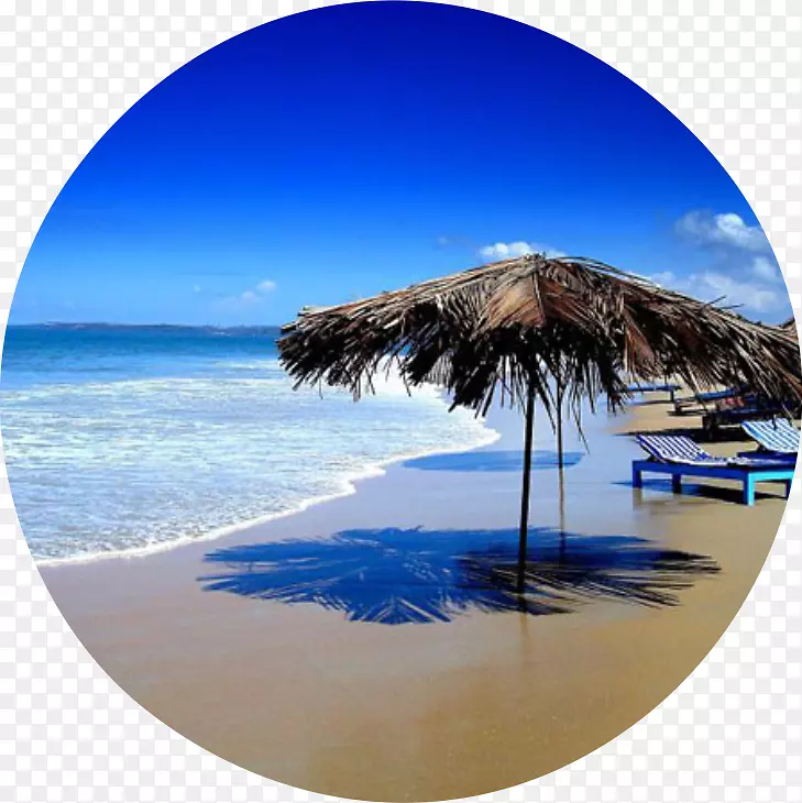 �Ϲ����Ϲ��������׺�̲��������͵¾Ƶ�-�Ƶ�-������