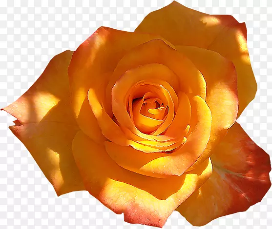 ��԰õ����Ӱ-������