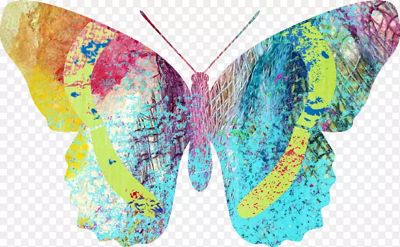 ��Գ�����ʯ-������