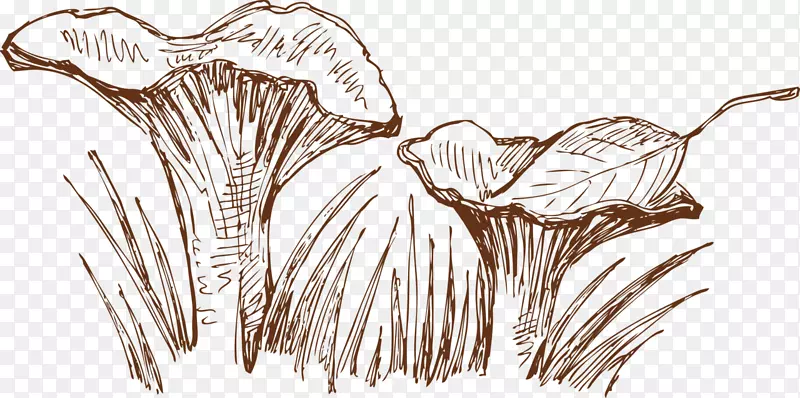 ʳ������-������