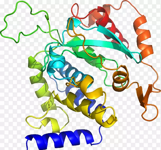 �����߶����������-������