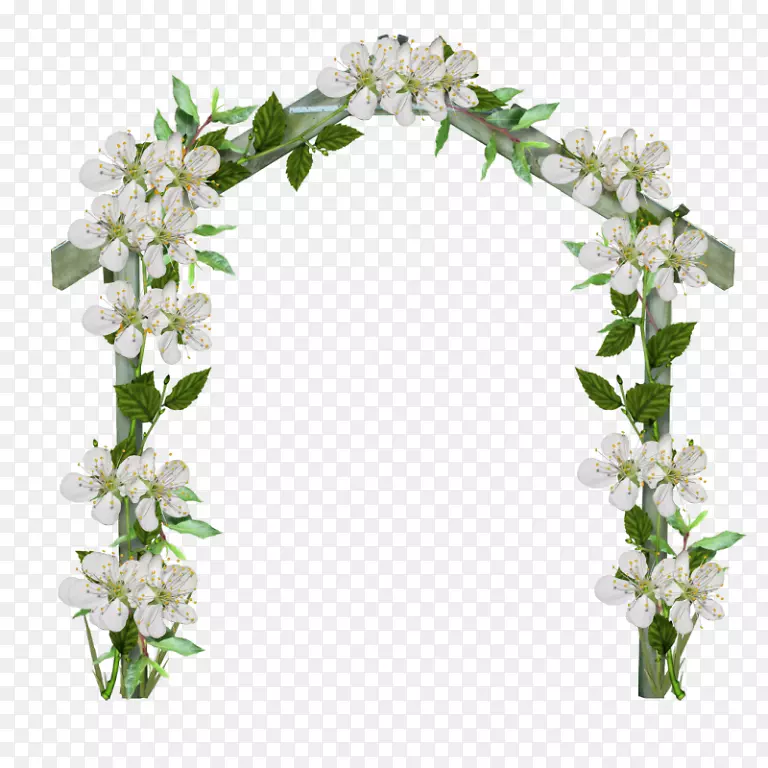 ��������л������˹�����-������