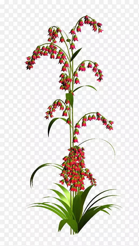 �л�����ͼ�����껨԰õ��-��-������