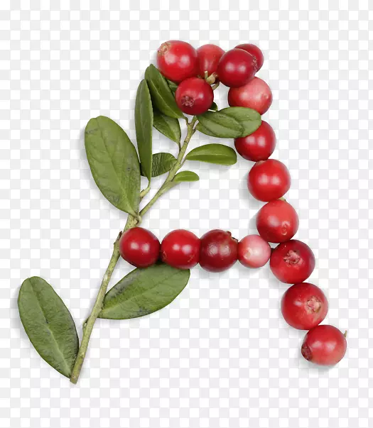 Խ����ĸ����-����-������