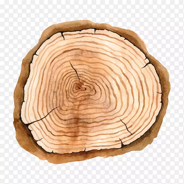 �ް�˰�滭-������