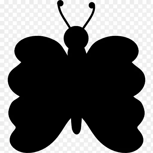 �����Գ�������-����-������