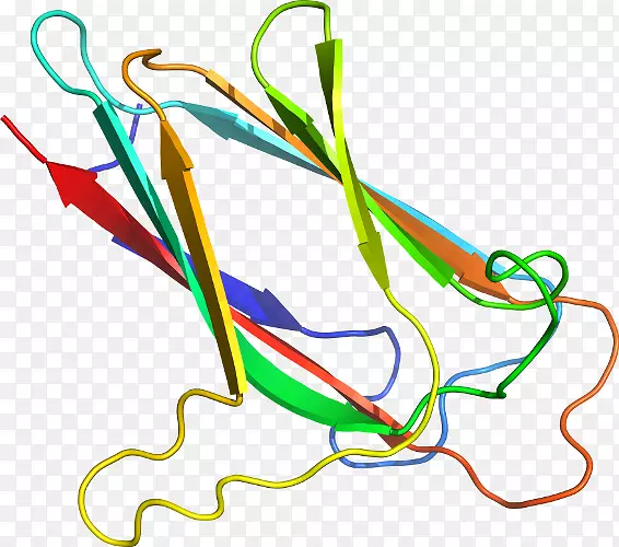 �ߵ������������-������