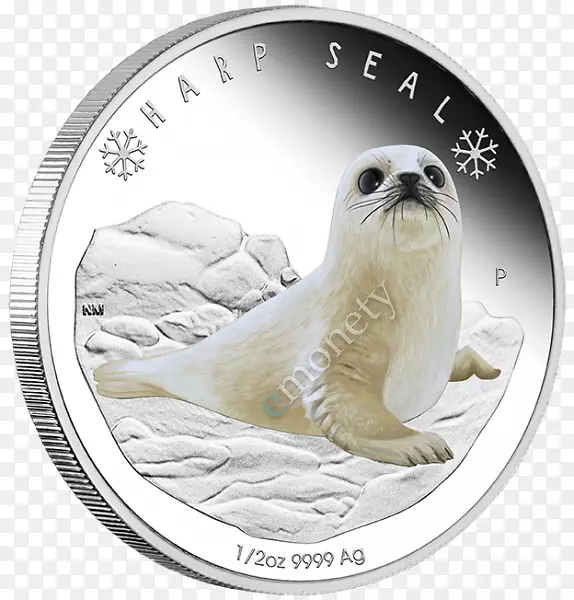 ��˹���ң�Ӳ�ң����ң��Ĵ�����Ӳ�ң���ʮ����Ӳ�ҡ�-������