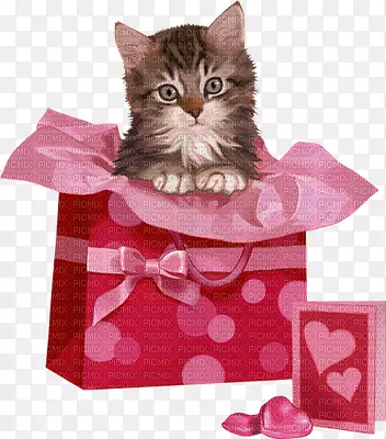 һ��һ��Ķ������Ʋ���-����-������