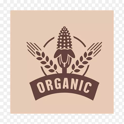 �л�ʳƷ��־���-������