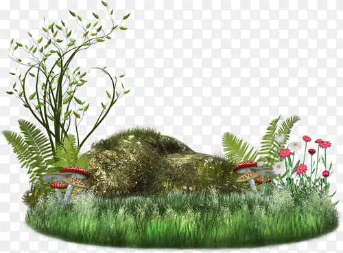 ţ�Ƕ���-������