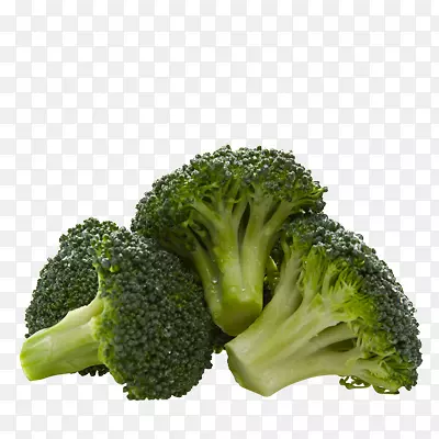 �������л�ʳƷ������ʳ������-������