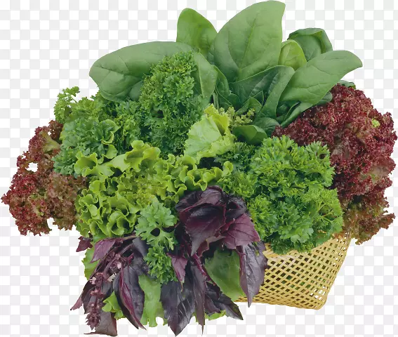 ����ͼ��ɨ�����߲˲ݱ�ɳ��-�߲�-������