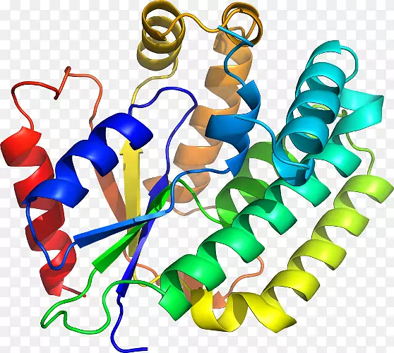 �����鱦�߼�������-������