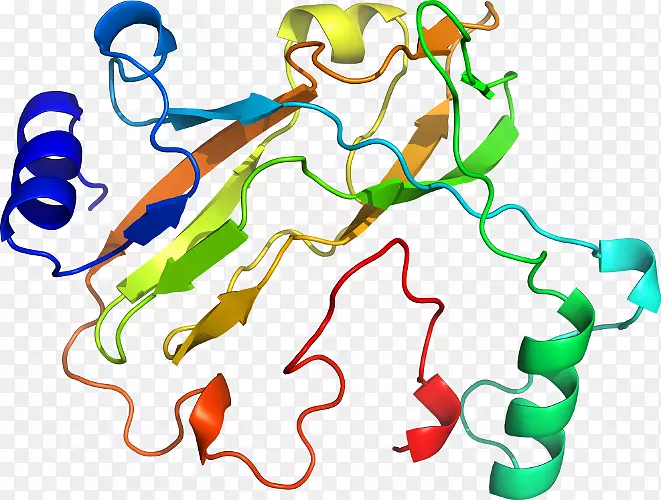 ������Ϊ�л����ߵ��������-������