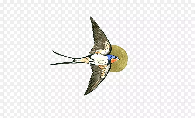 �ˮ��-������