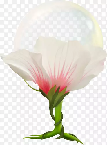 ˮ�ʻ�RGBɫ��ģ��-������