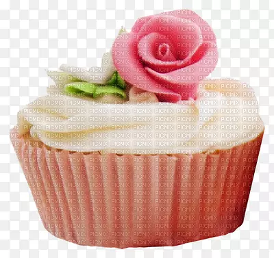 �ɿ�������ѩ�ĵ��⺣�൰��֥ʿ�����ɿ�������-������