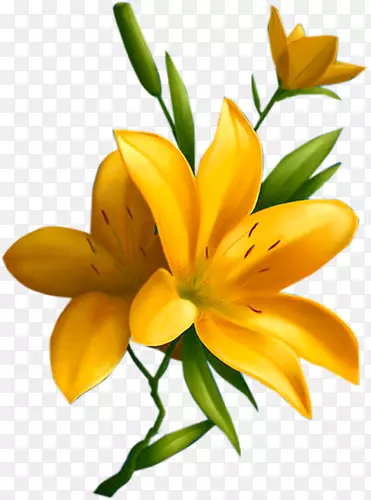 �λ���ë�ٺ�-������