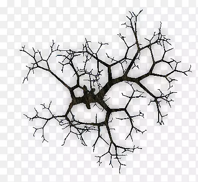 С֦����֦��ֲ�ﾥ-��-������